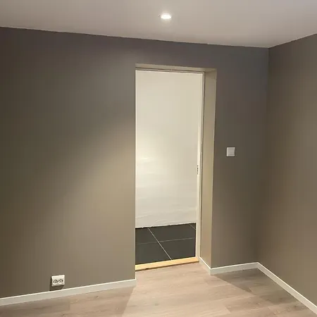 Spacious 4 Bedroom Perfect For Big Groups For Wc Apartment Trondheim